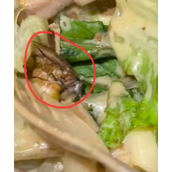 顾客在星巴克沙拉里吃出虫 门店：第三方食品厂制作！