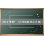 马斯克成“香饽饽”：土耳其总统邀请特斯拉在当地建厂！