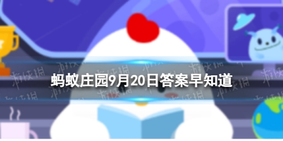 本站1
