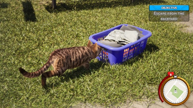 《猫咪生活模拟器》steam页面上线 可爱猫咪养成