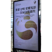 成都街头“金熊猫”含量拉满：吸引游客驻足围观！