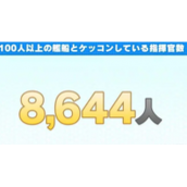 碧蓝航线日服六周年誓约系统哪些趣味数据碧蓝航线日服六周年誓约系统数据介绍