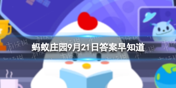 本站1