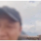 黄山飞虫成灾直扑人脸 景区回应来了！