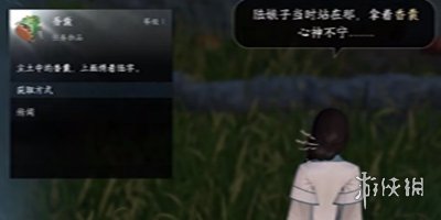 本站6