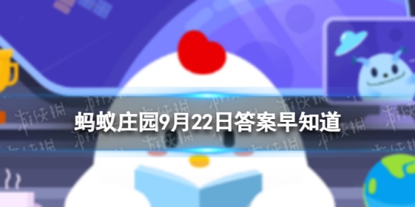 本站1