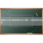 渔民放生300斤海龟后收获3000斤鲳鱼：这是海龟带来的好运！