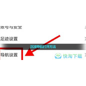 《高德地图》沉浸导航打开玩法