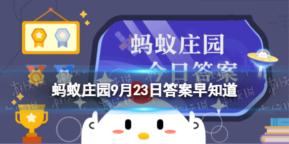 本站1
