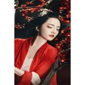 玩转古玩：我神瞳无敌文章精选阅读