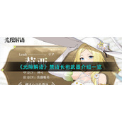 《光隙解语》禁语长袍武器介绍一览