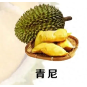 榴莲品种十大排名（榴莲有多少品种）