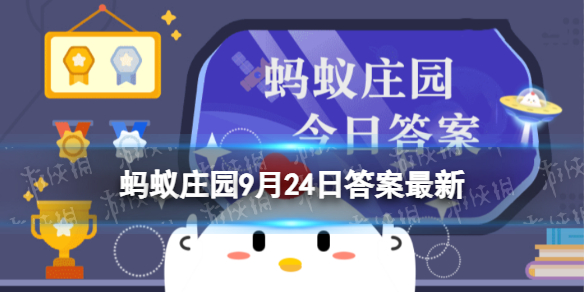 本站1