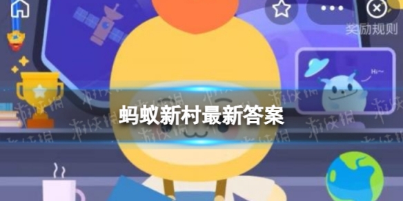 本站1