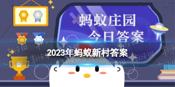 本站1