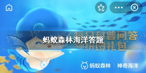 本站1