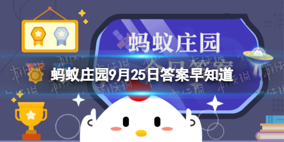本站1