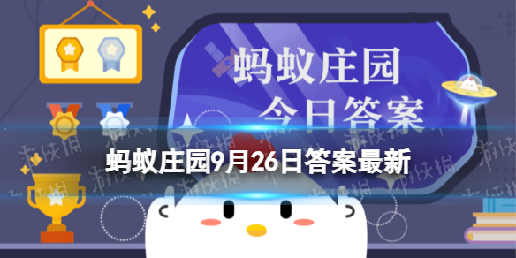 本站1