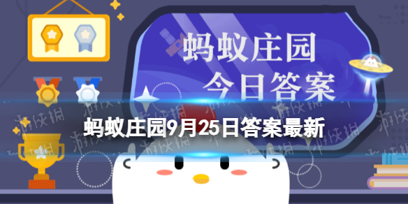 本站1