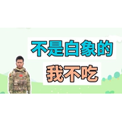 不是白象的我不吃梗是什么意思