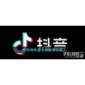 李佳琦吹羽毛梗是什么意思