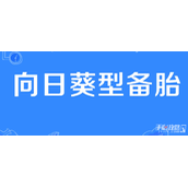 向日葵型备胎梗是什么意思