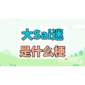 大SAI迷梗是什么意思