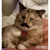 中了基因彩票梗是什么意思
