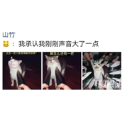 我承认我刚才说话声音有点大梗是什么意思
