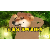 摇摇头把烦恼摇出来梗是什么意思