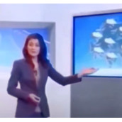 海公牛梗是什么意思