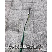 又绑根绳子来骗我是吧梗是什么意思