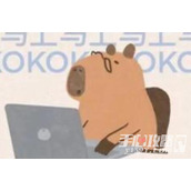 水豚精神症状是什么梗