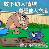 放下助人情节尊重他人命运梗是什么意思
