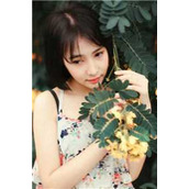 青云美人图全本小说推荐