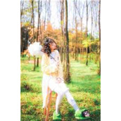 重回1988，开局抢婚抱得美人归畅读全文版