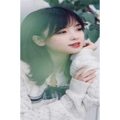 沙雕直播：你管这叫民生节目？完整版阅读