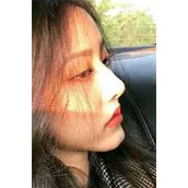 美女荷官骗我去缅北，我反手称帝全集小说推荐