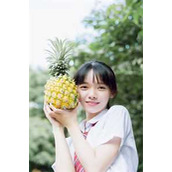 畅销小说妻子的隐秘