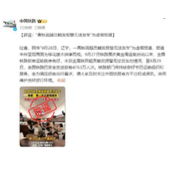 高铁因超员报警无法发车系假消息 画面为移花接木拼凑而成！