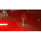 男子堵车着急小便坠下高架桥 知情人称送医后无生命危险！