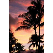 八零团宠娇娇女优质全文阅读