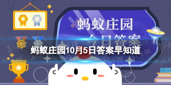 本站1