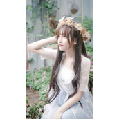 完整章节阅读步步登云
