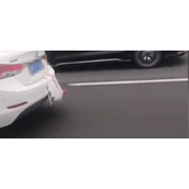 国庆长假返程的后备箱：有人把鸡鸭挂车上 车箱被塞满是父母沉甸的爱！