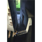 纵横四海文章精选