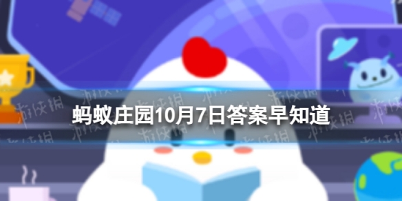 本站1