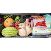 满满的全是爱！父母给返程儿子后备箱塞了个菜市场