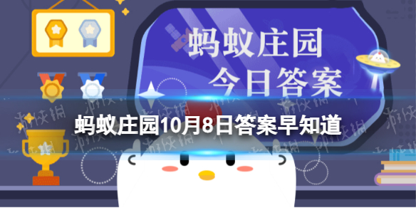 本站1