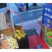 大妈偷走榴莲嫌是生的找店家退钱 网友：这脸皮真是绝了！